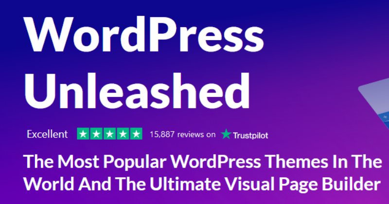 Divi Theme WordPress